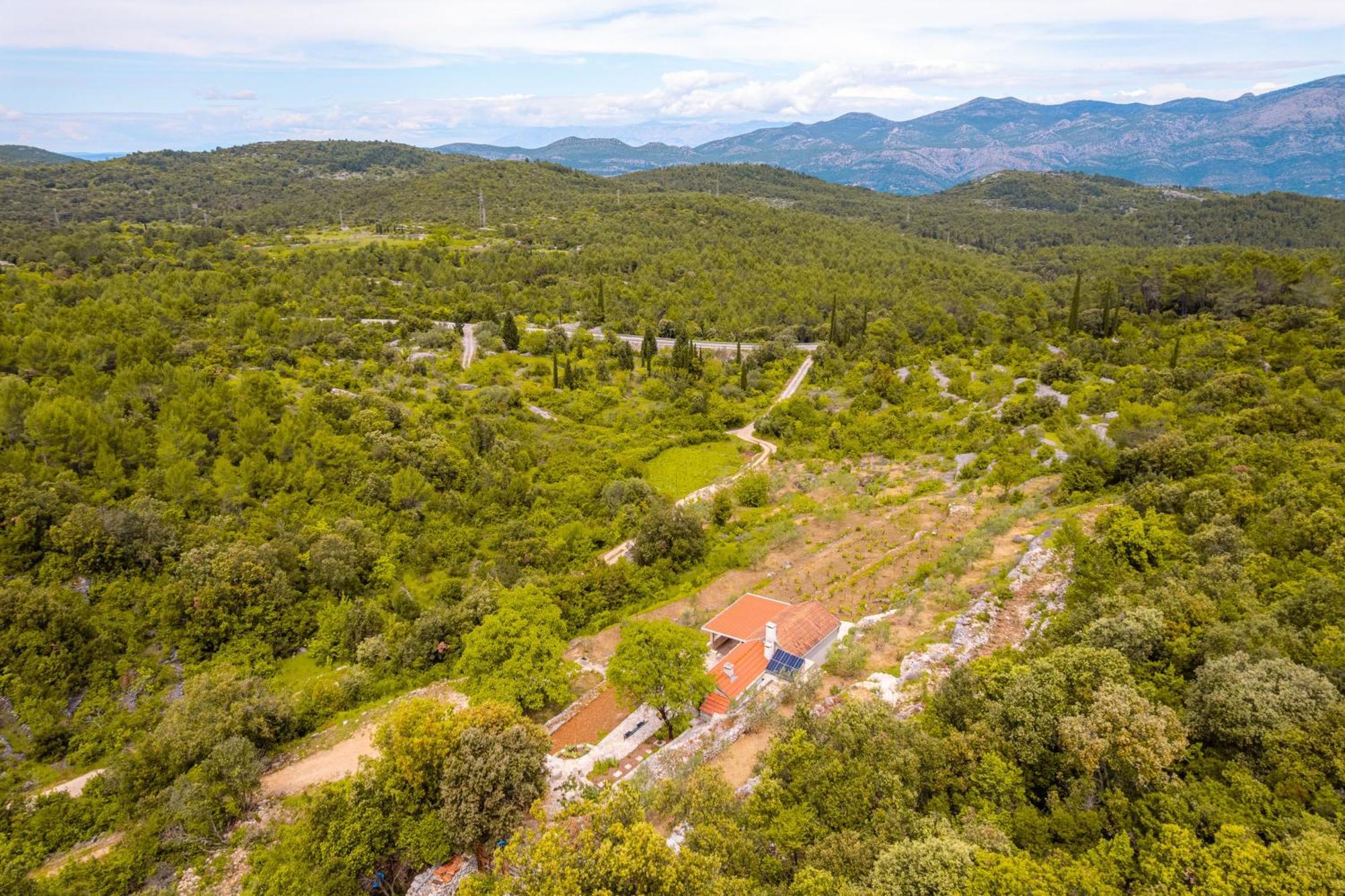 Meadow Hill Villa Zrnovo Exterior photo